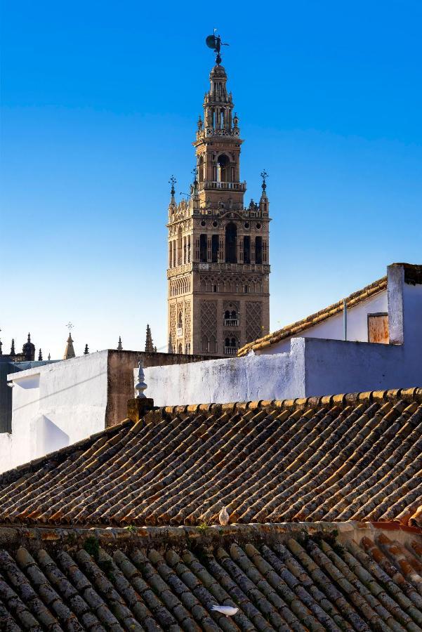 Genteel Santa Teresa